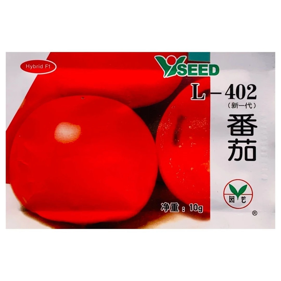 L-402番茄种子辽宁农科院高秧无限生长型大圆粉红西红柿种籽高产