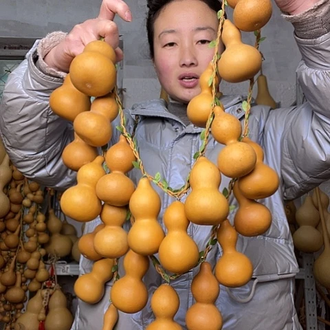 小*花天然植物葫芦文玩