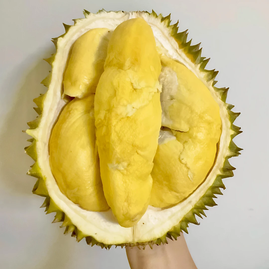 ［开业福利］新鲜金枕榴莲纯肉（纯肉60/斤核小）达榴莲同城配金枕泰国
