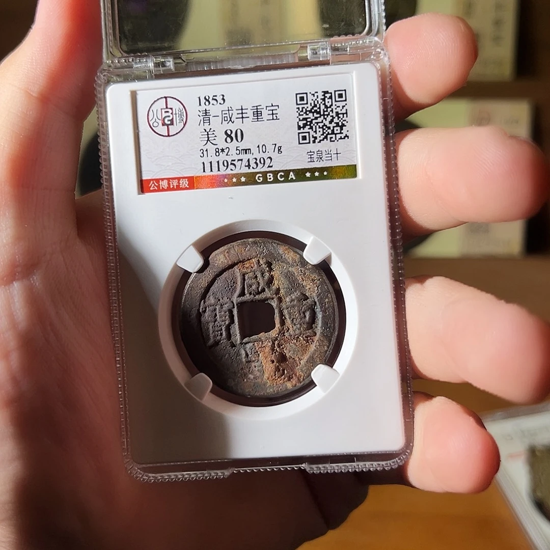 金雨雨雨雨雨雨雨雨雨