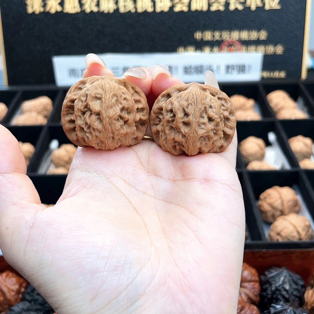 把件文玩核桃37野狼全品主筋居中对齐小眼睛37A3