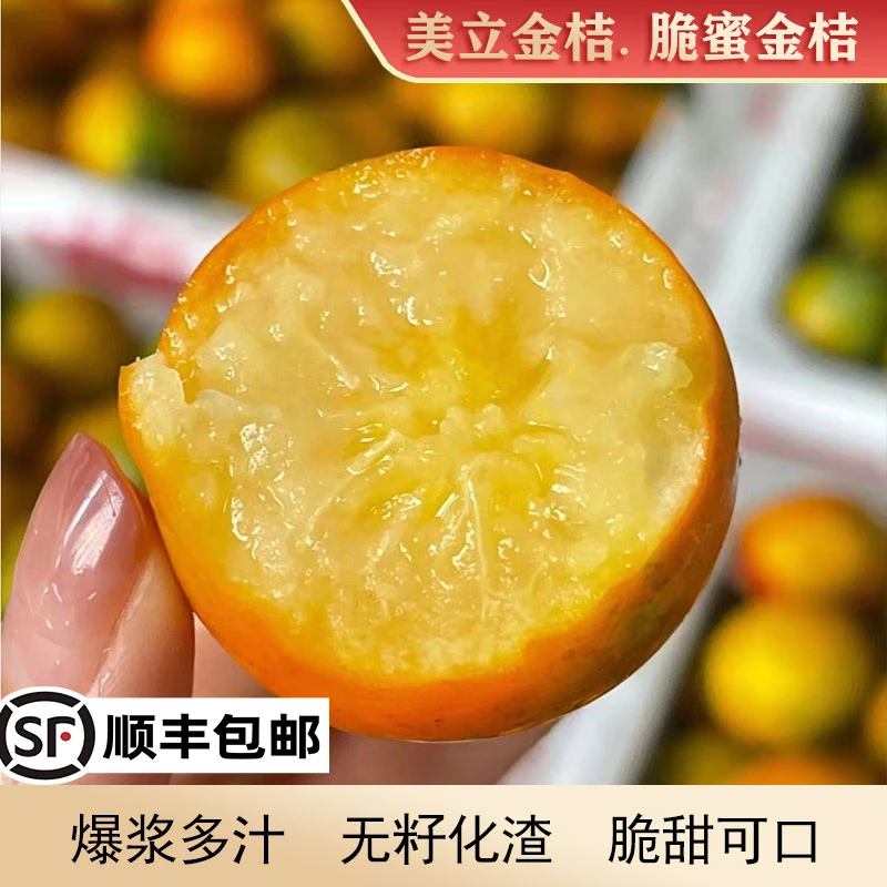 【顺丰包邮】采桔南山正宗融安脆蜜金桔金柑高甜无籽孕妇水果1-3斤