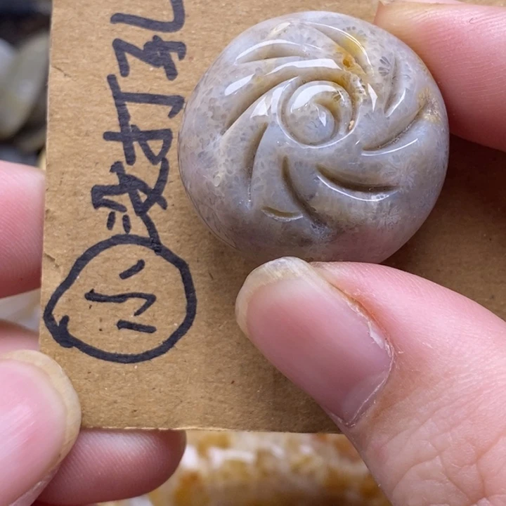 硅化珊瑚（珊瑚玉）未镶嵌颈饰有瑕