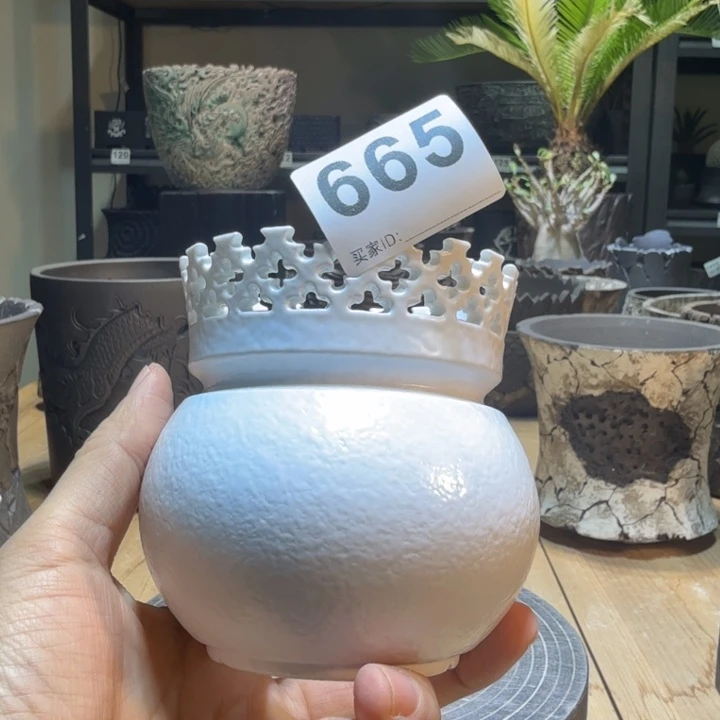 内口8高9.5块根盆