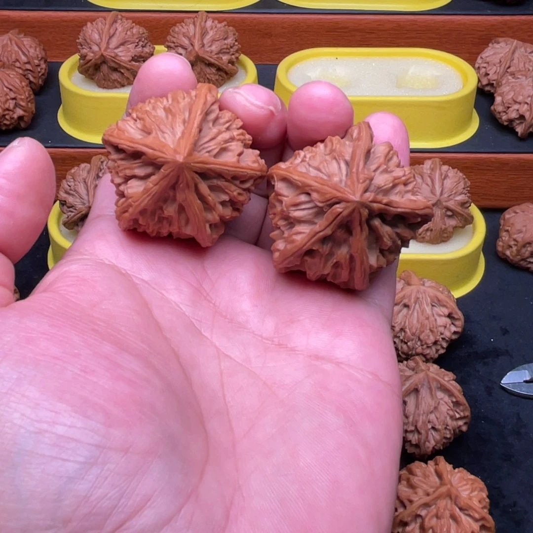 核桃手串/手链五星上将43尺