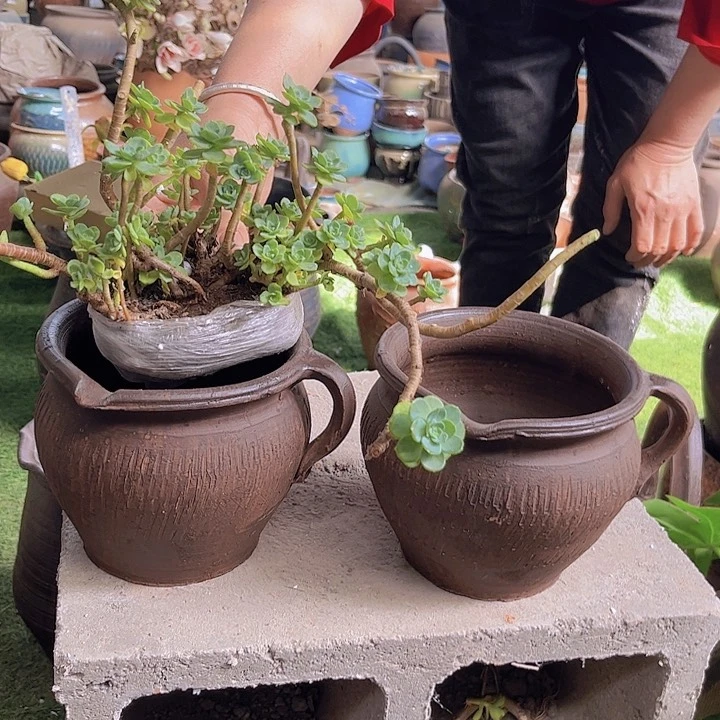 320号14×14咖瑕11111