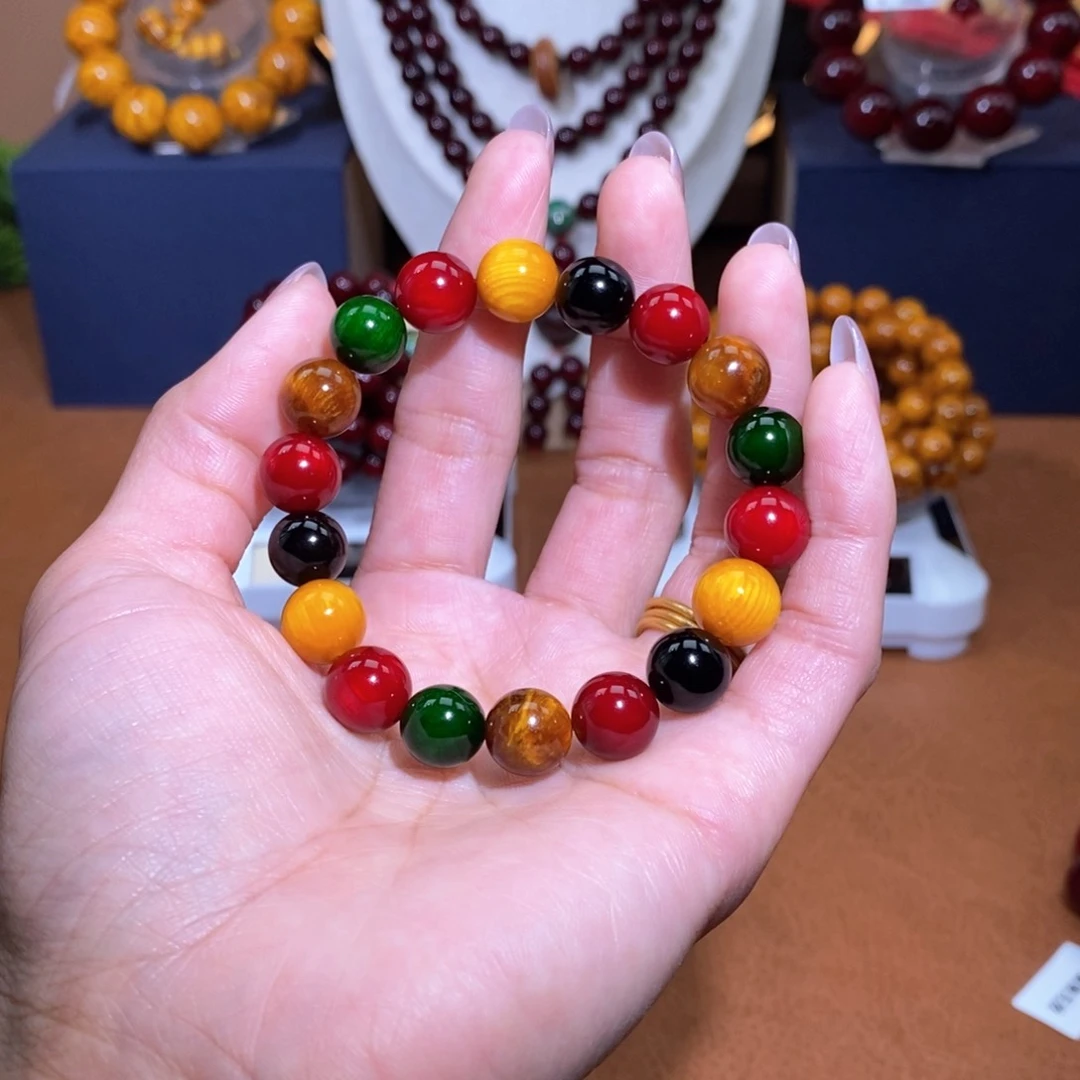 贝壳杉血龙木1.0多宝