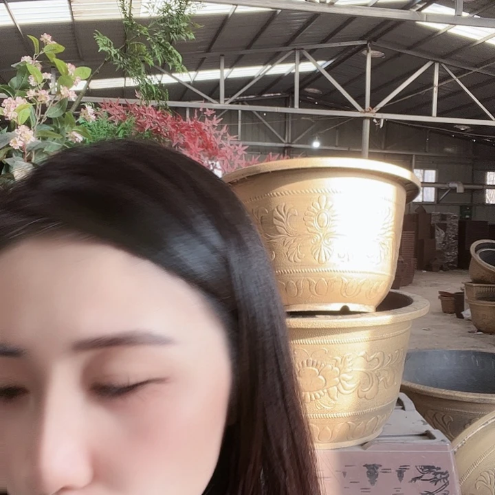 圆60口径花盆两个