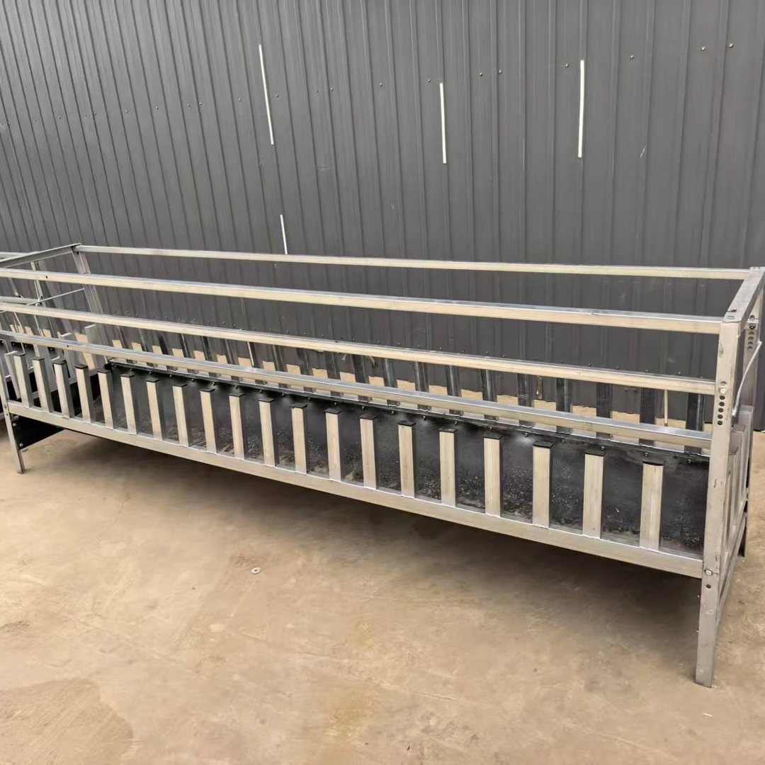 新款四面定位羊槽畜牧工具镀锌方管制作胶皮制作槽底可卡羊脖养羊