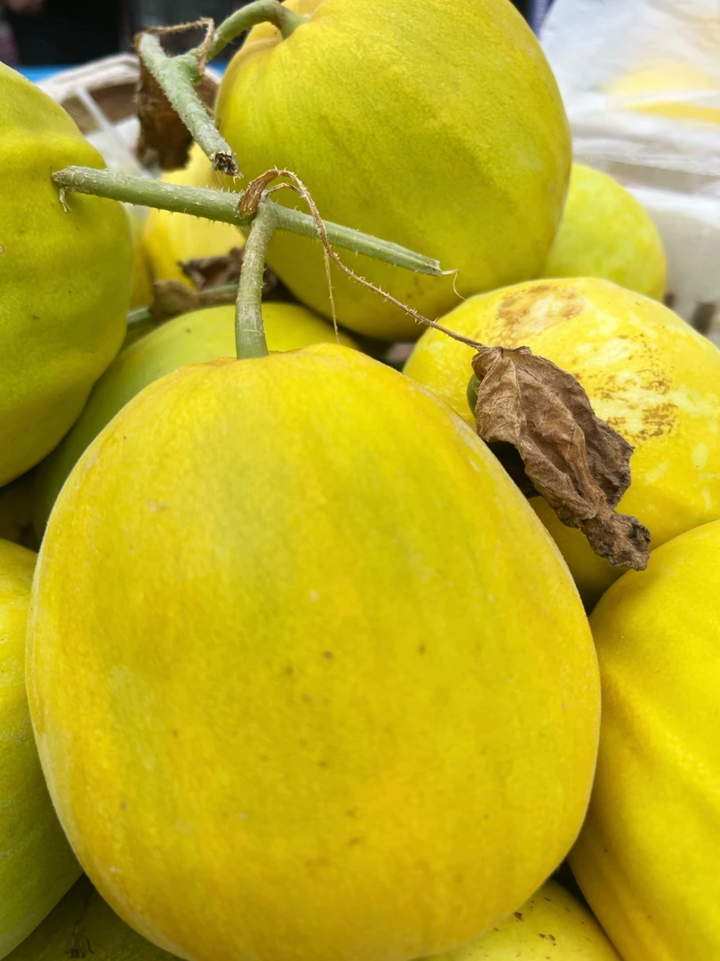 湖南香瓜丑八怪香瓜甜瓜脆瓜新鲜水果现摘八里香黄蜜瓜八方瓜包邮