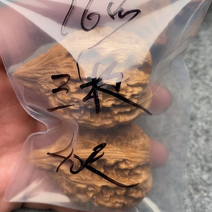 吊坠文玩核桃大沽石