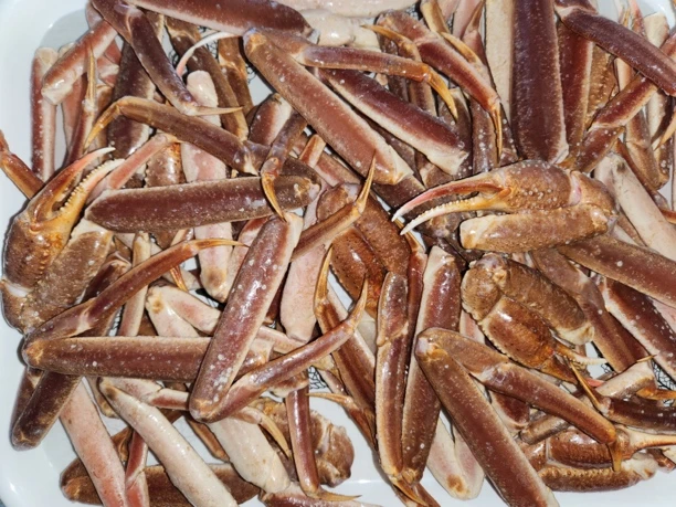 冰鲜雪蟹腿 肉质饱满 珲春顺丰发货