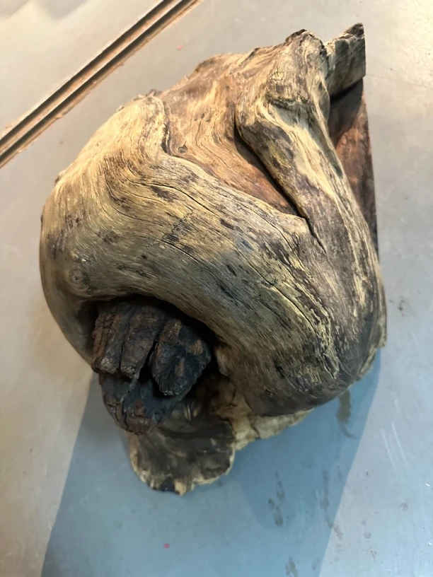 缅甸花梨树头摆件,长度15宽32高25