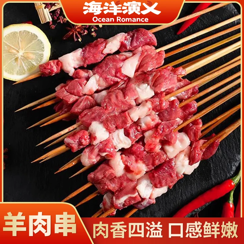 海洋演义 羊肉串 200g/包*5包（20g*10支）