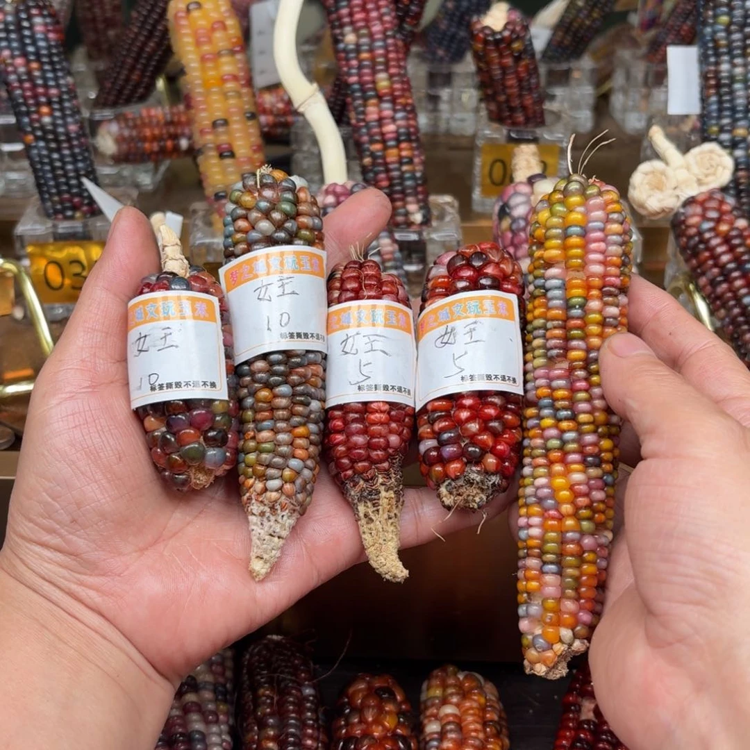 柏香籽/百香籽吊坠女****瞳