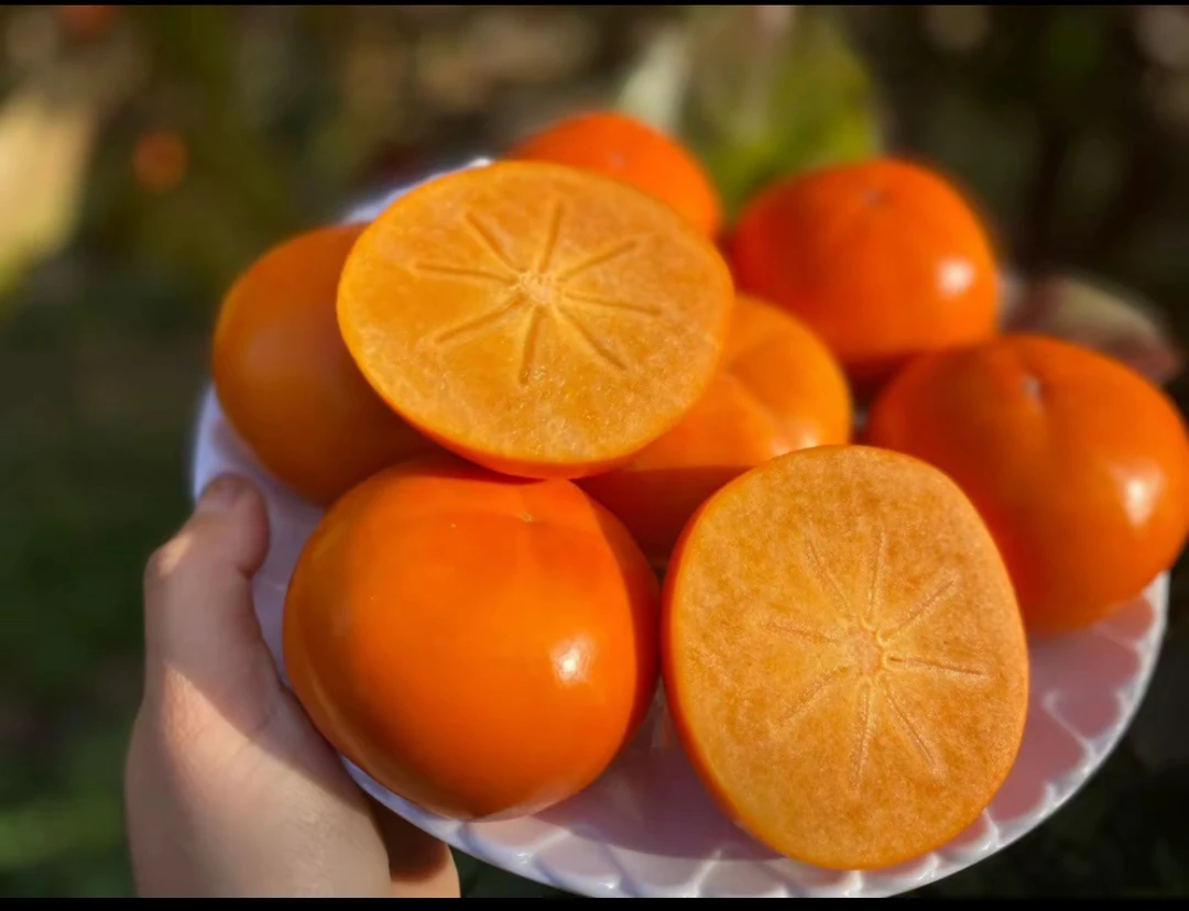 新鲜采摘脆甜不涩保山次郎脆柿应季水果