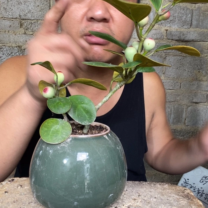 退款拉黑一物一拍158