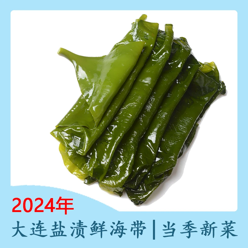 【到手5斤】盐渍海带切片Q大海馈赠原汁原味经济又实惠