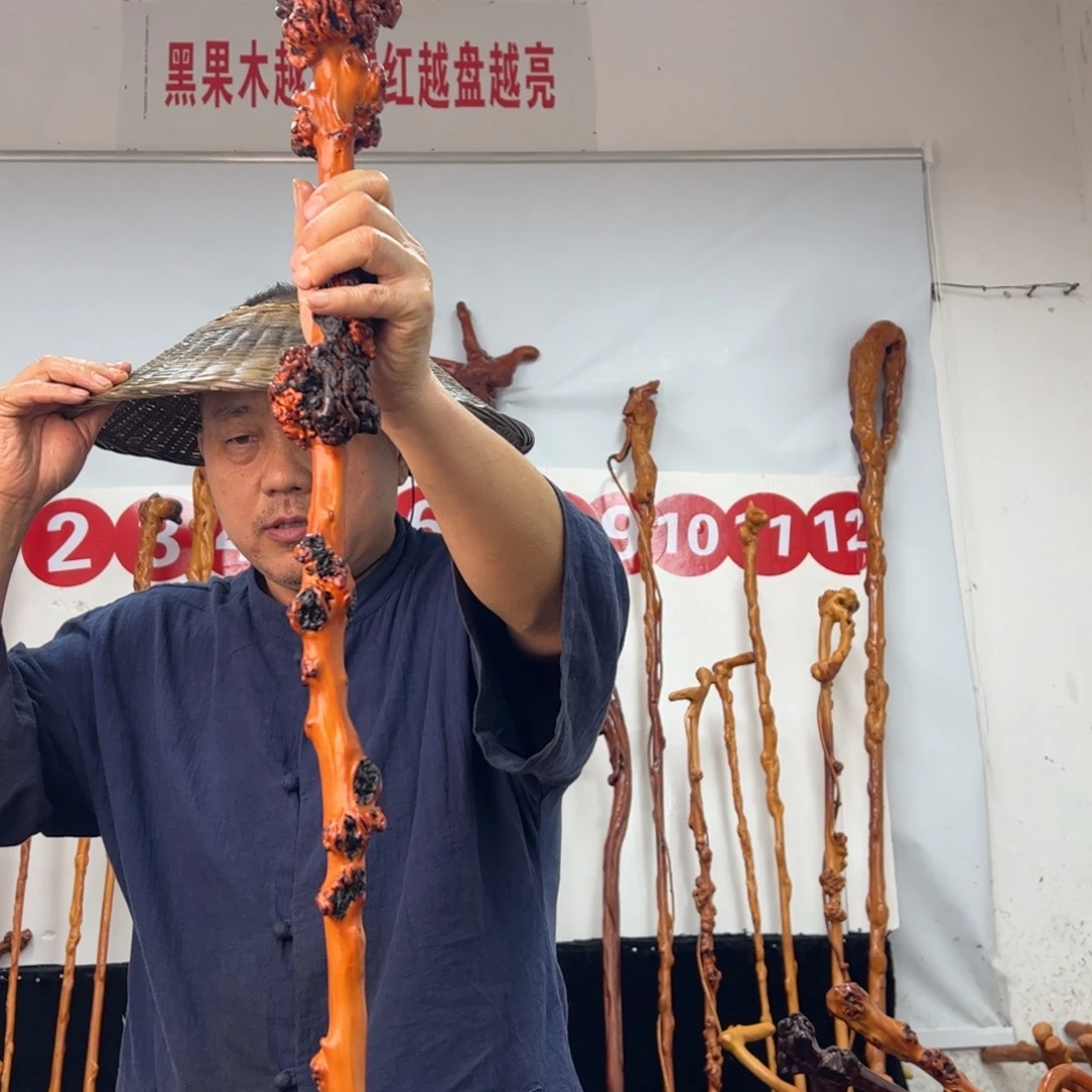 其他黑果木黑果木759