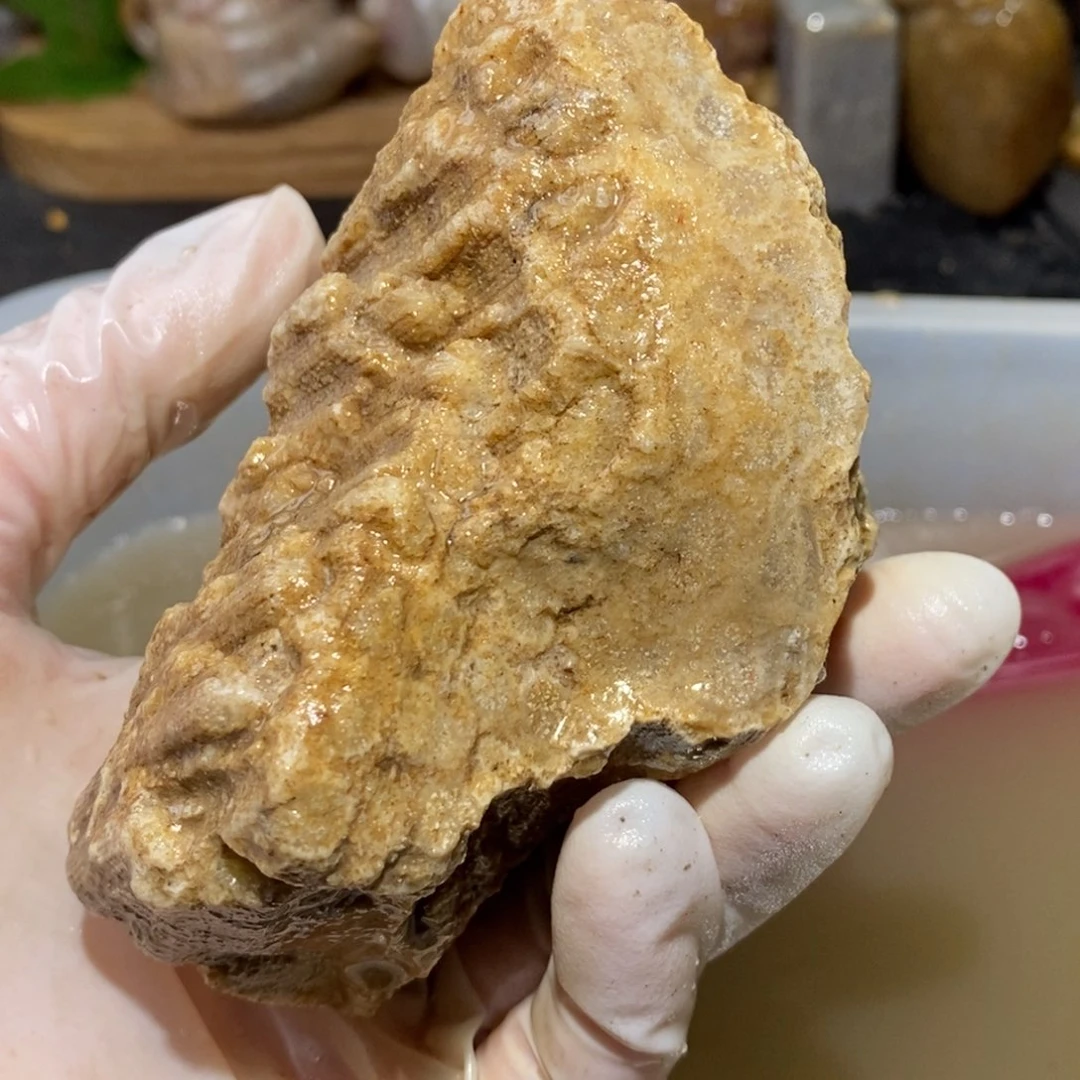 【闪购商品】硅化玉颈饰未镶嵌