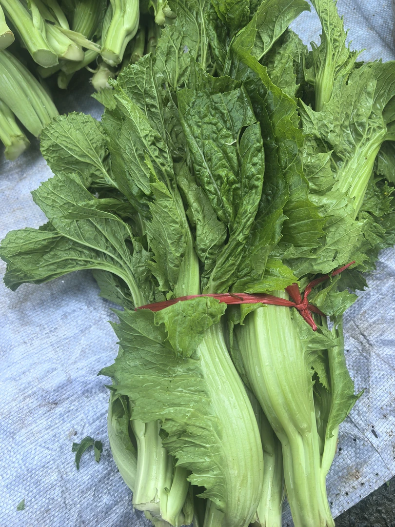 赶场链接贵州农家自重青菜