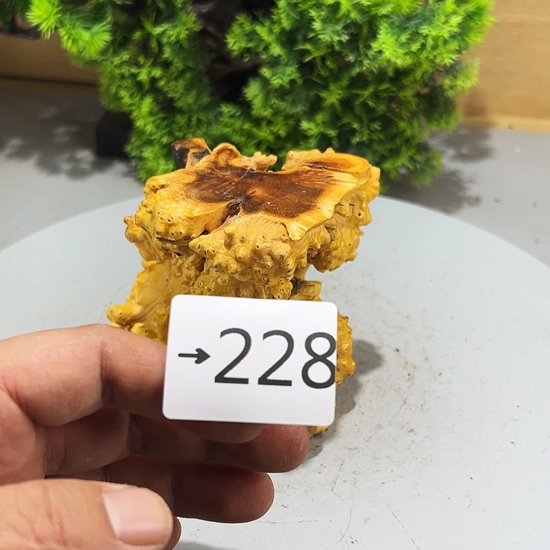 香榧木说**已火琉璃……