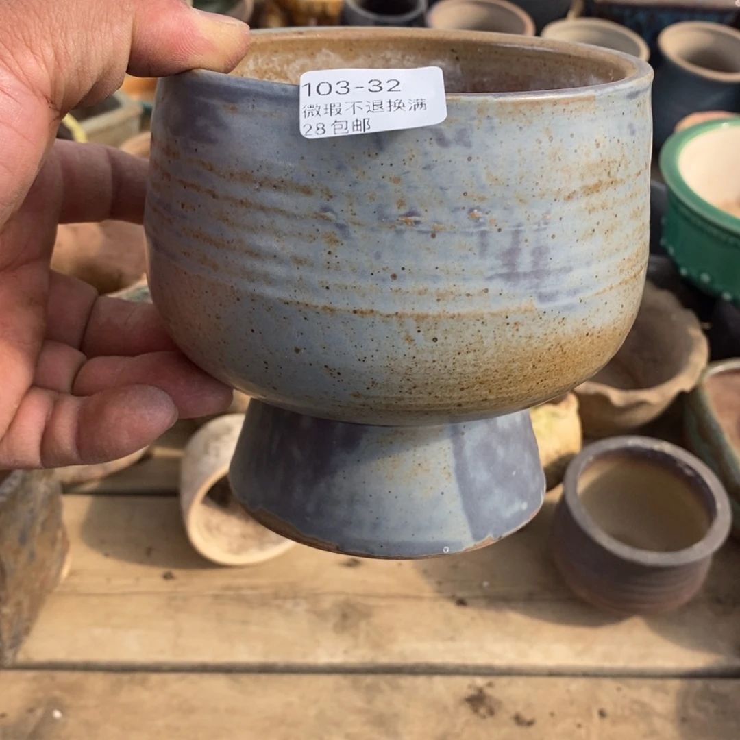 32号花盆内11高12.5