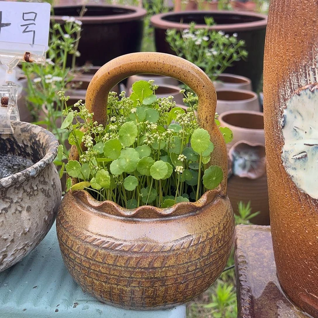 紫砂花盆无孔提篮
