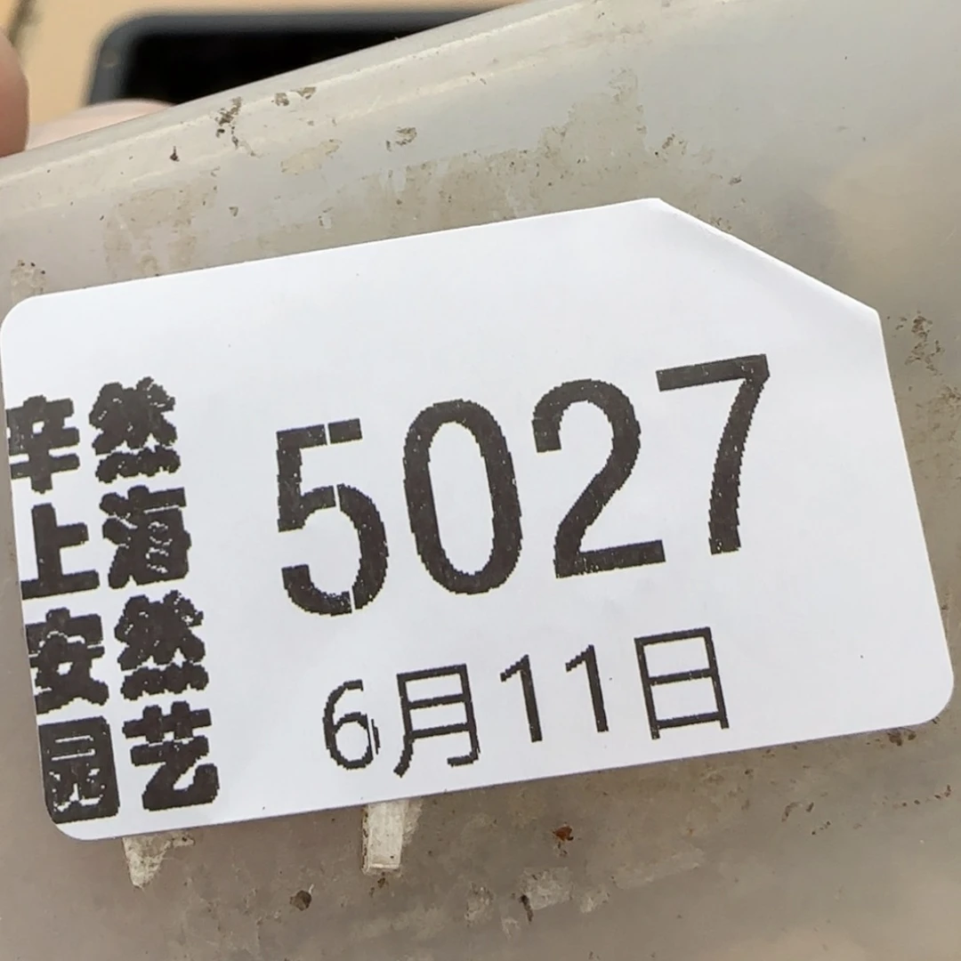 花****6.11。217饼干*6。5027