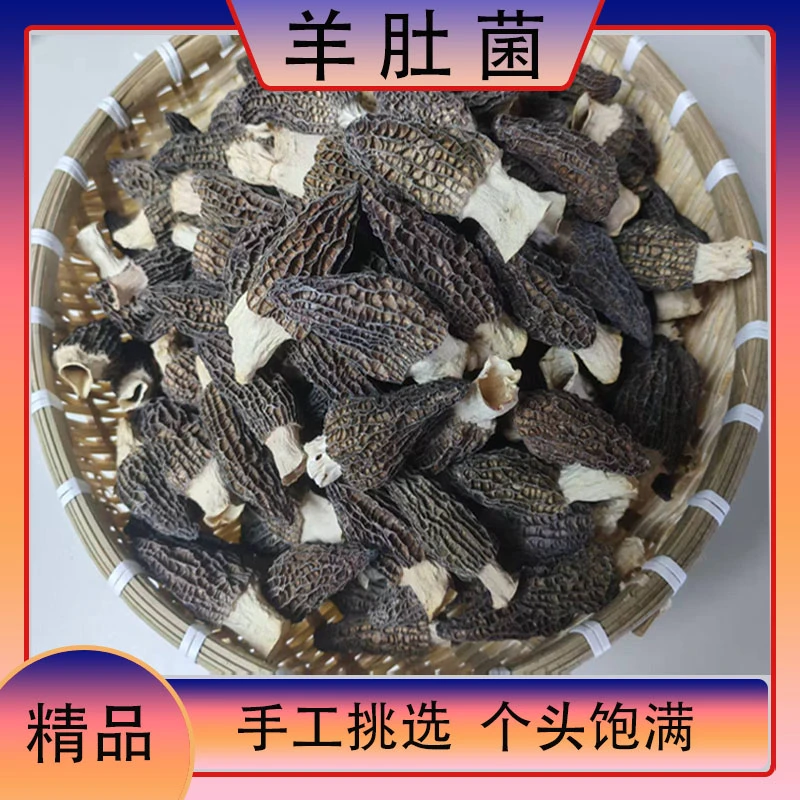 【精品】羊肚菌干货 2025年头茬正宗六妹手工精选中秋节送礼佳品