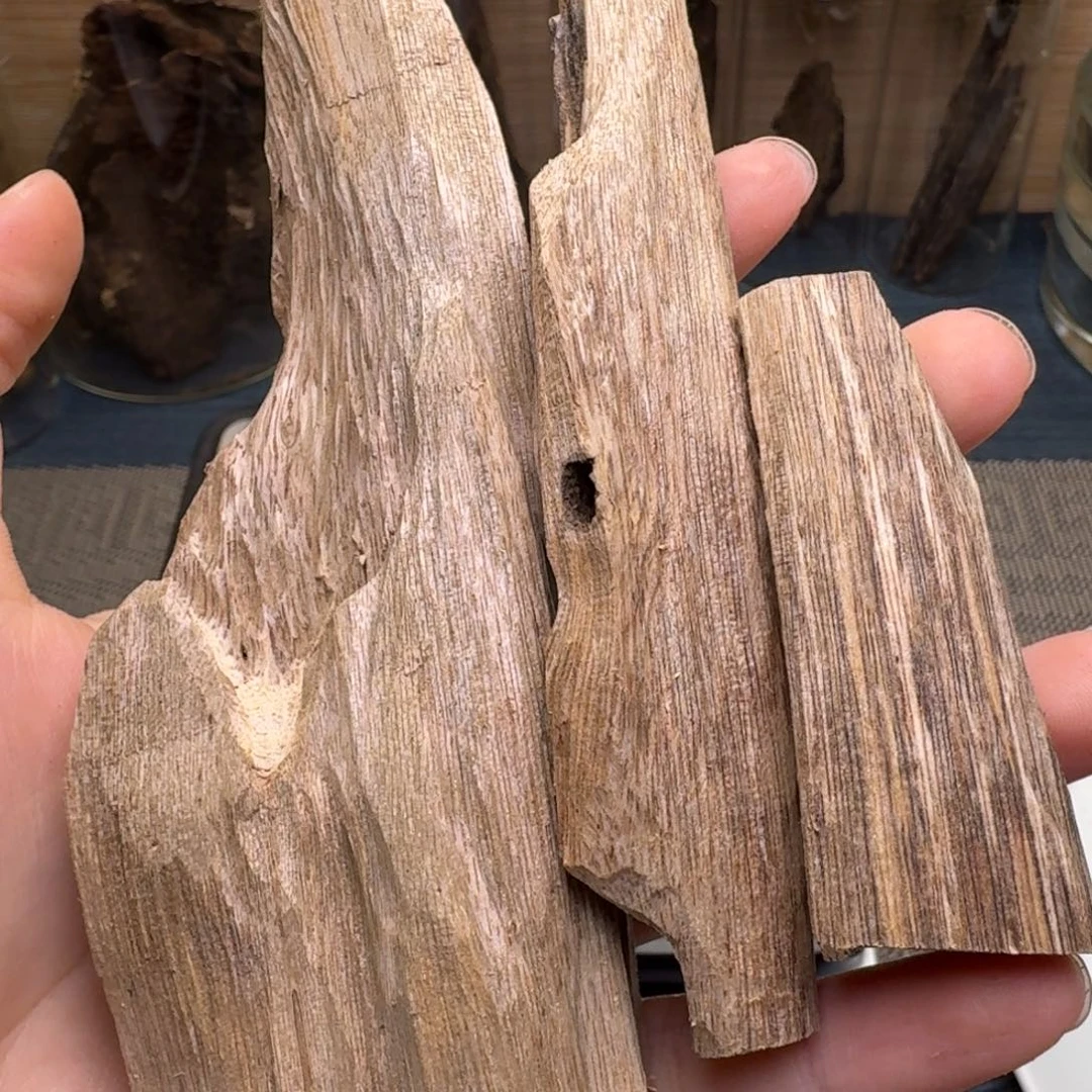 木海南大山虫漏50克