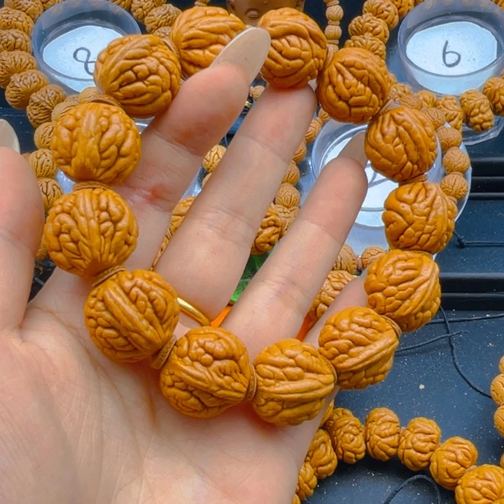 木质类权权权权权66霸王龙2.0