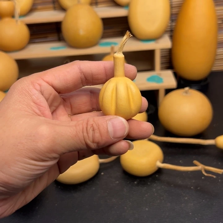 .****关66666586666666666