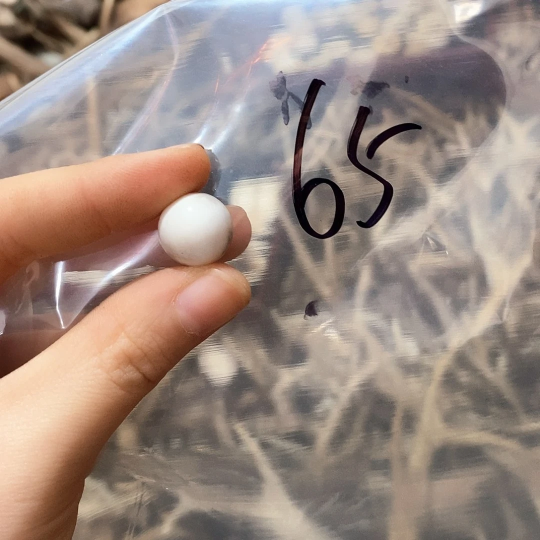 t***p鹿角鹿角鹿角鹿