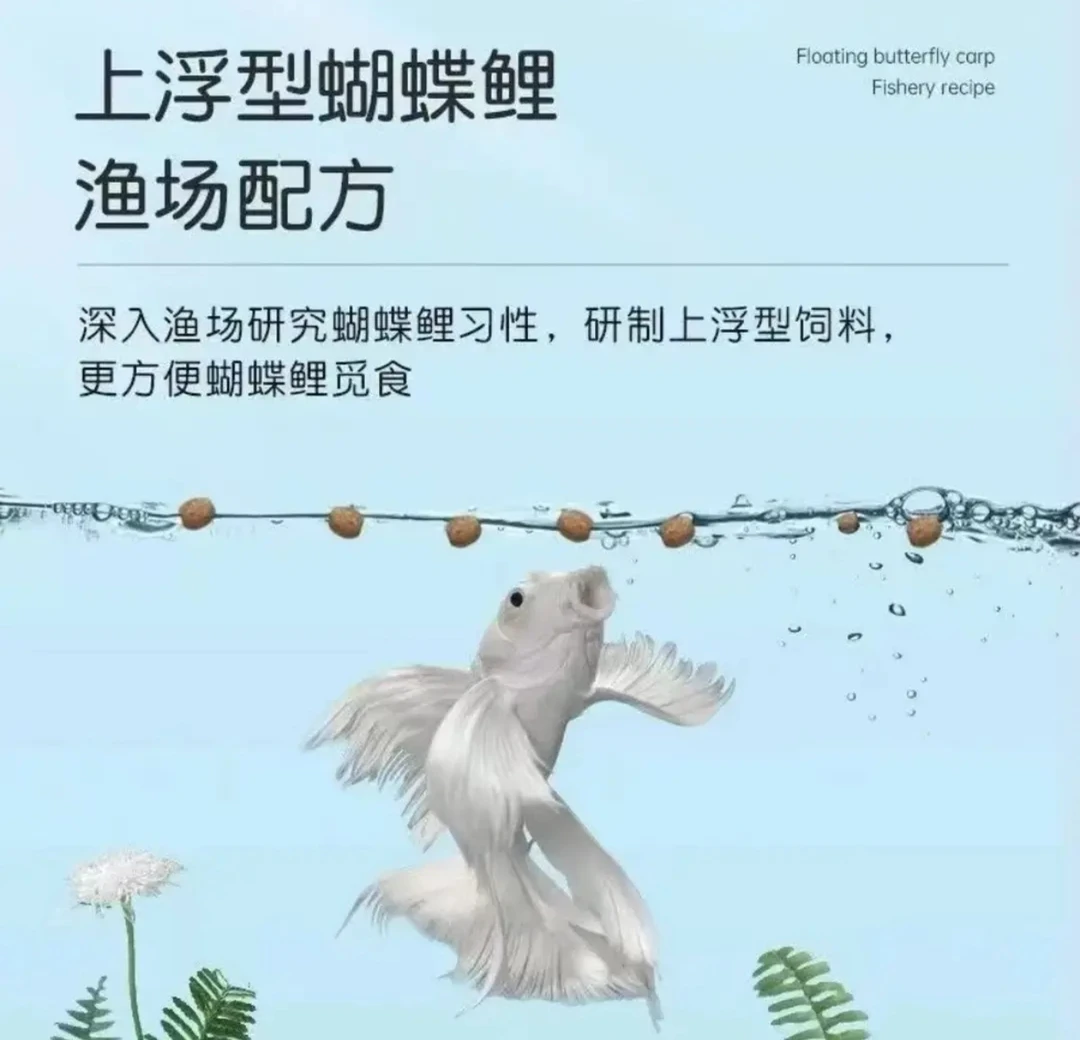 蝴蝶鲤专用高蛋白鱼粮上浮颗粒增色发尾大鳍大尾科学配比