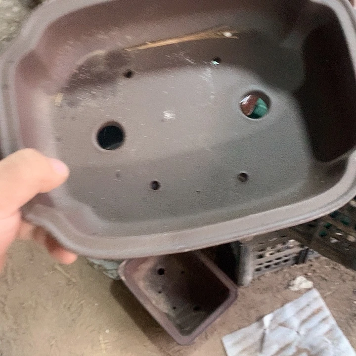 紫砂我们也有一个特别