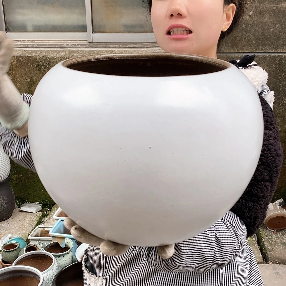 红泥花盆正品口22高24