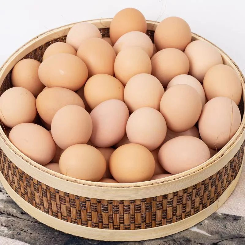 正宗新鲜土鸡蛋当日散养土鸡蛋农家笨鸡蛋五谷蛋营养天然好吃普通