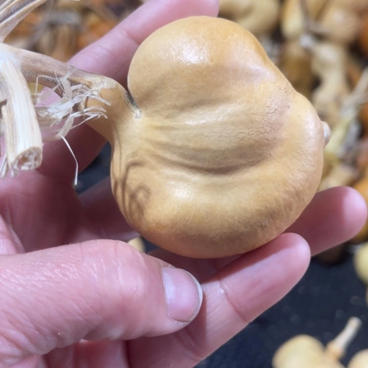 ****3哈哈哈哈哈哈哈哈