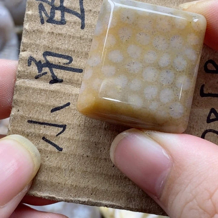 硅化珊瑚（珊瑚玉）颈饰未镶嵌燕*