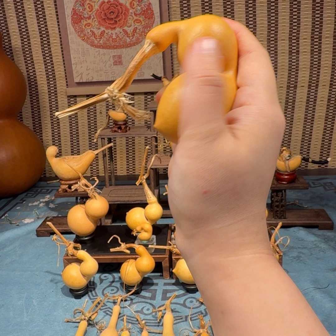 舒***克手把蚂蚁弓背贴肚