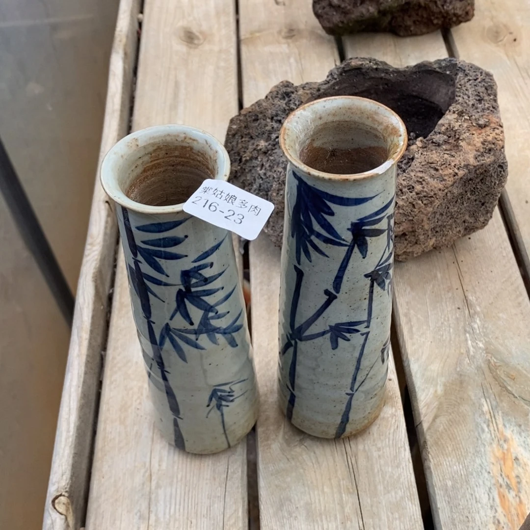 红陶23号多肉盆一个呀