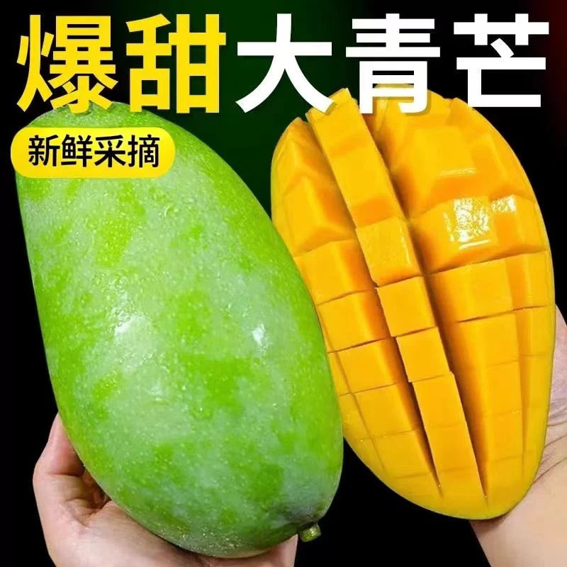 正宗云南大青芒产地现摘现发爆甜多汁带箱3/5/9斤