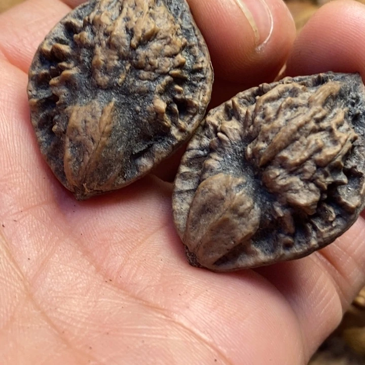 桃核吊坠东北东北特产