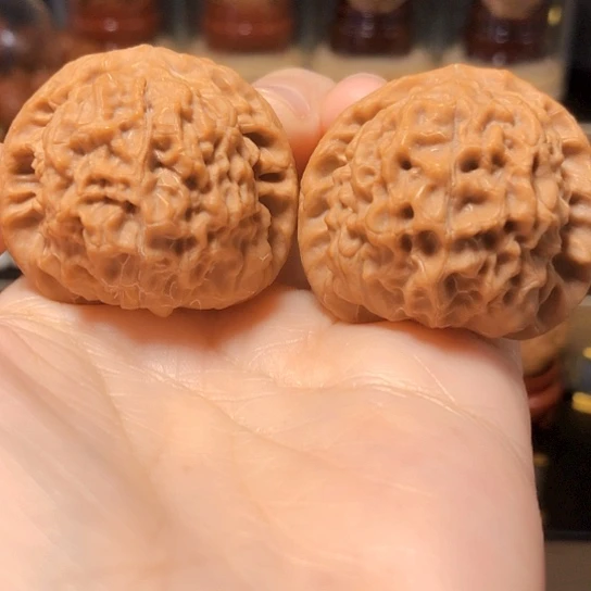 推荐款：鱼籽纹全品