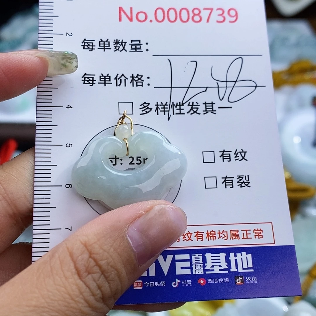 翡翠未镶嵌颈饰8739