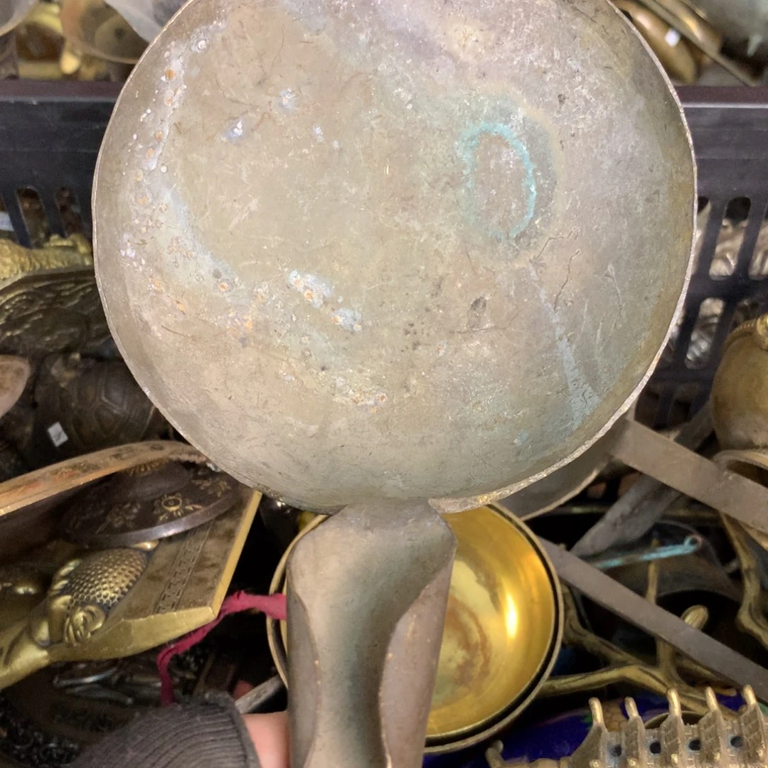 世***园一物一拍所见即所得