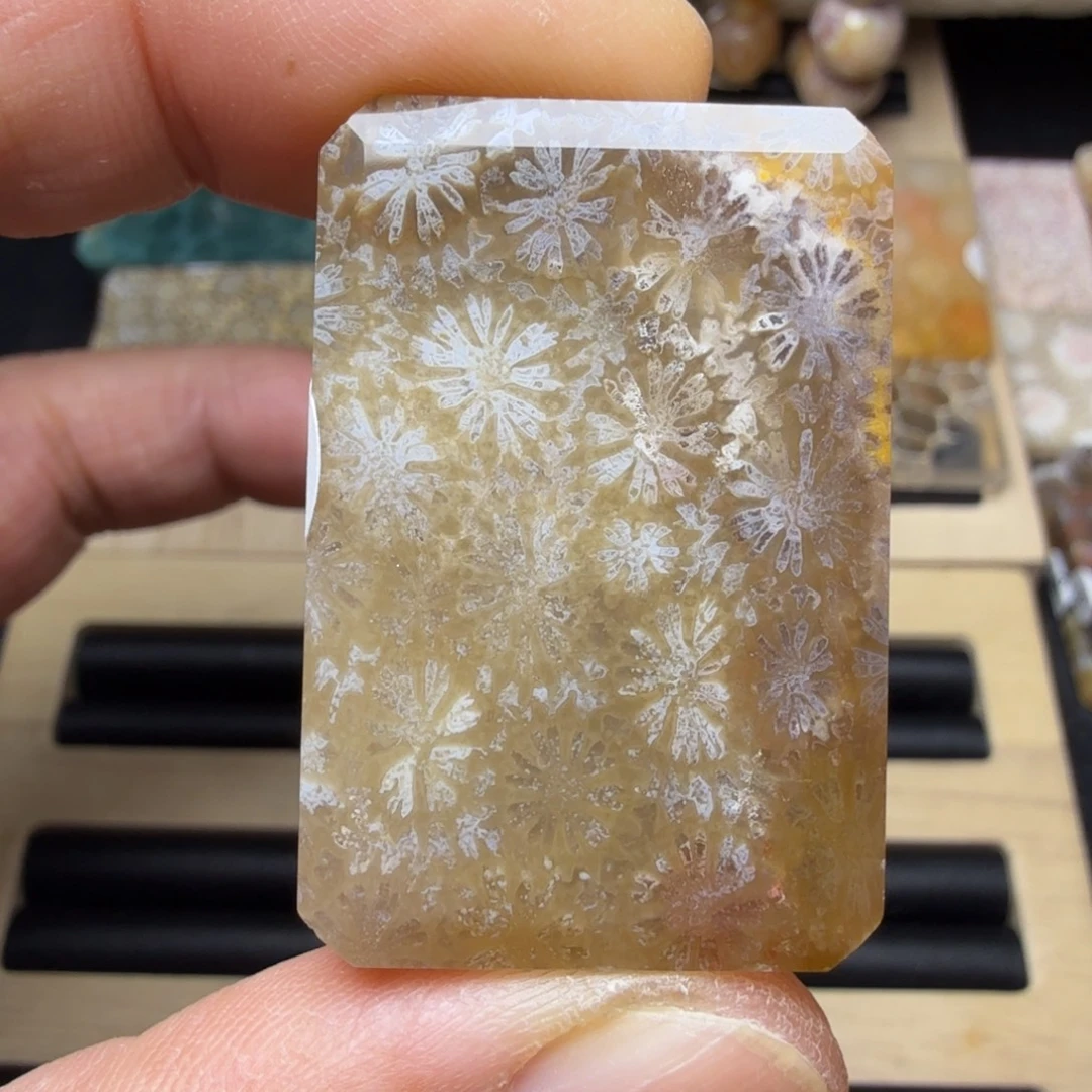 硅化玉未镶嵌纯天然色有机玉石保真色