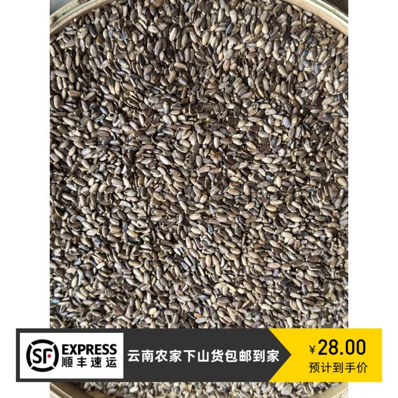 【大个山货】云南边境山货水飞蓟