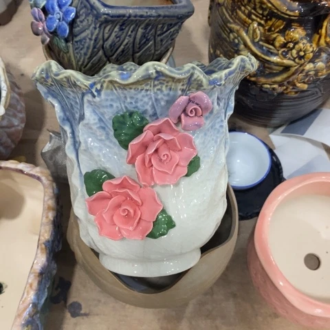 蓝色白菜313133111